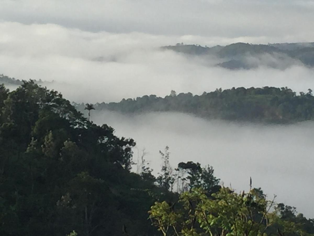 Best Mist Idukki Exterior photo