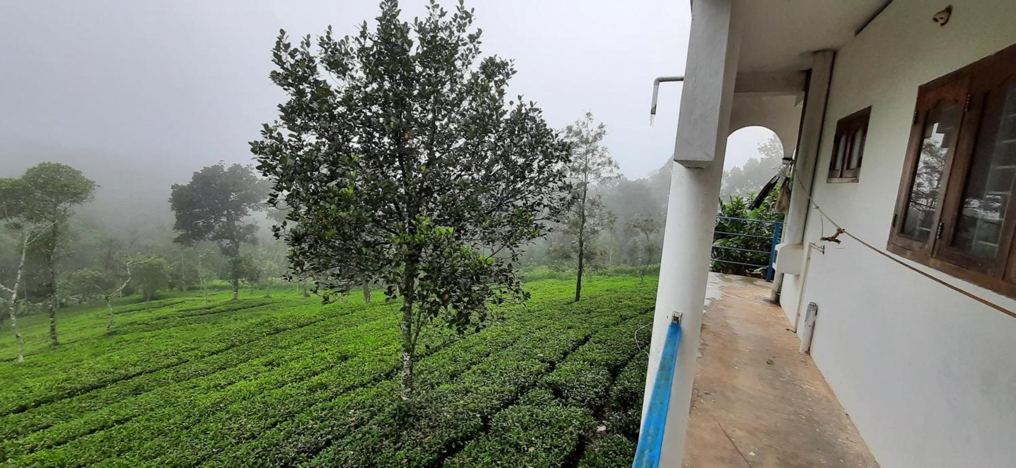 Best Mist Idukki Exterior photo