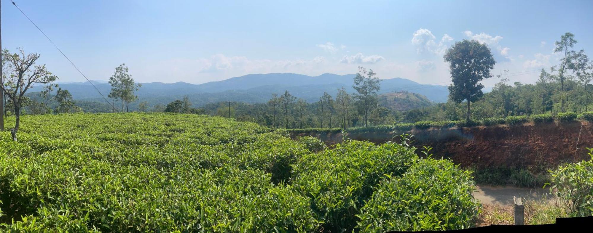 Best Mist Idukki Exterior photo