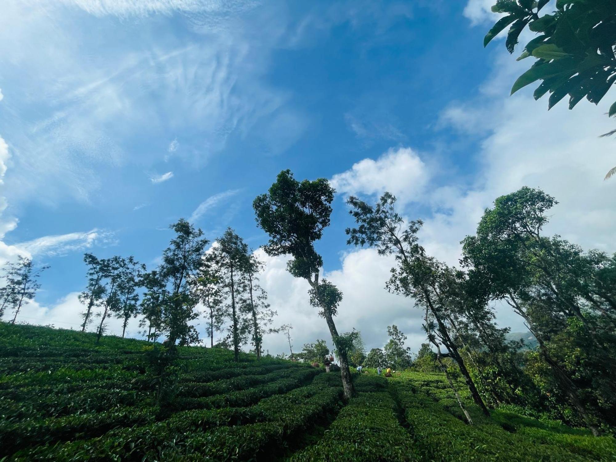 Best Mist Idukki Exterior photo